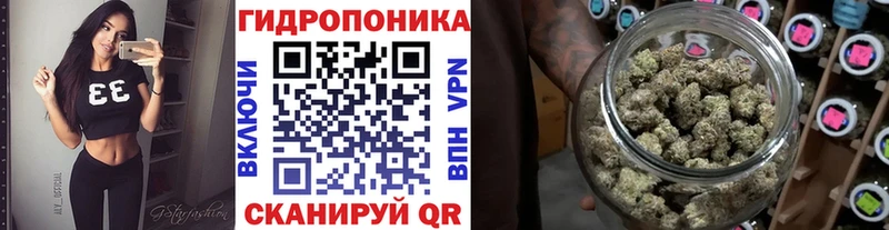 Бошки марихуана план  цена   Белорецк 